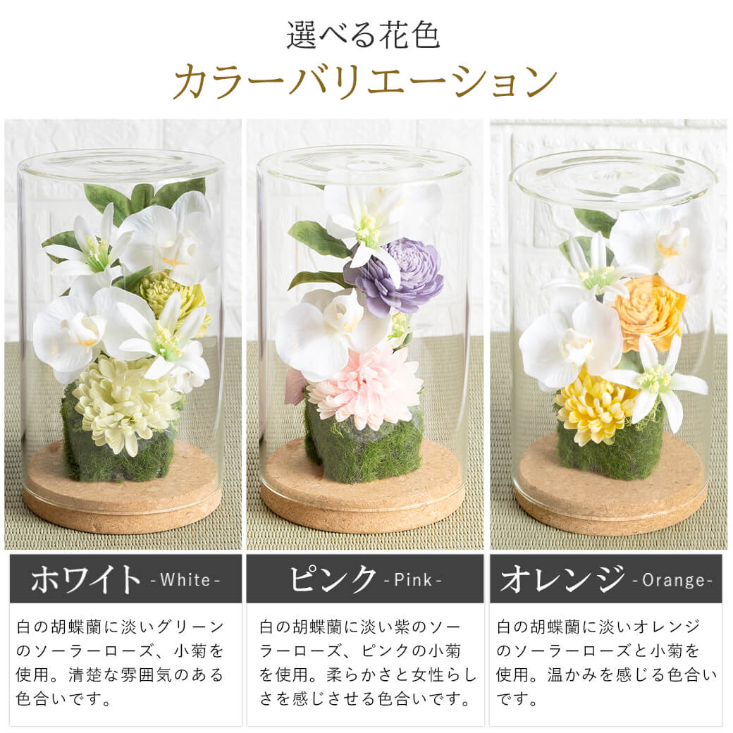 カラーバリエーション ホワイト ピンク オレンジ