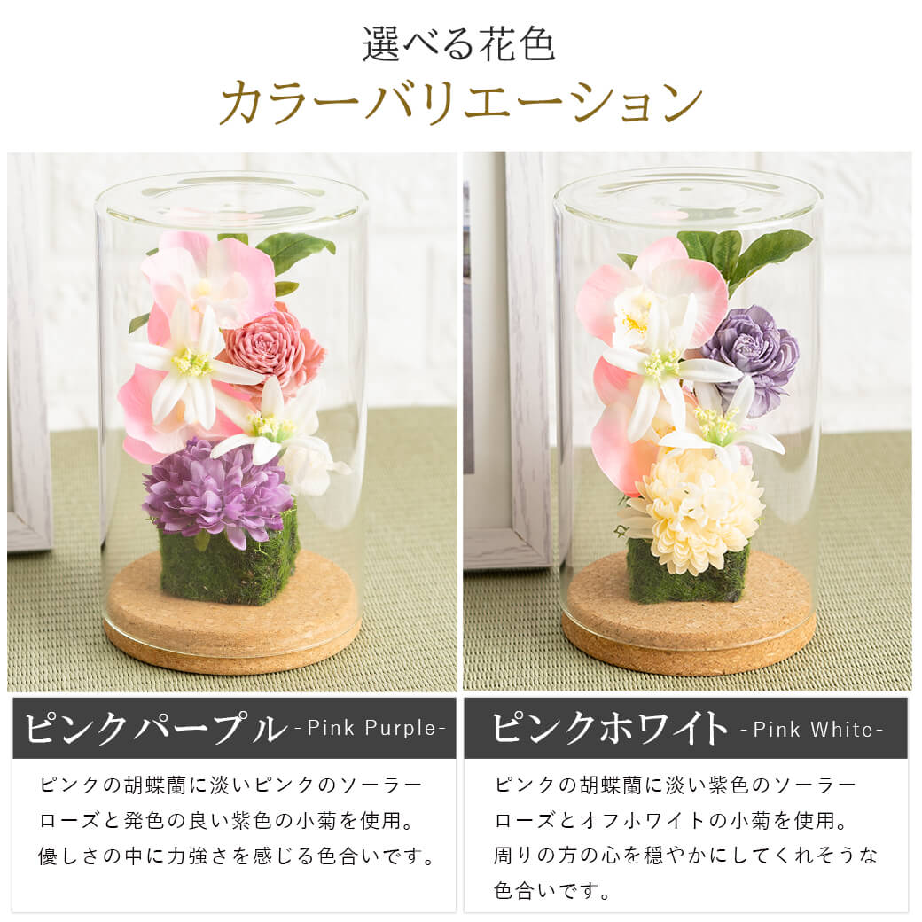 カラーバリエーション ピンクパープル ピンクホワイト