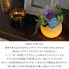 LEDが光る お手入れ不要のお供え花