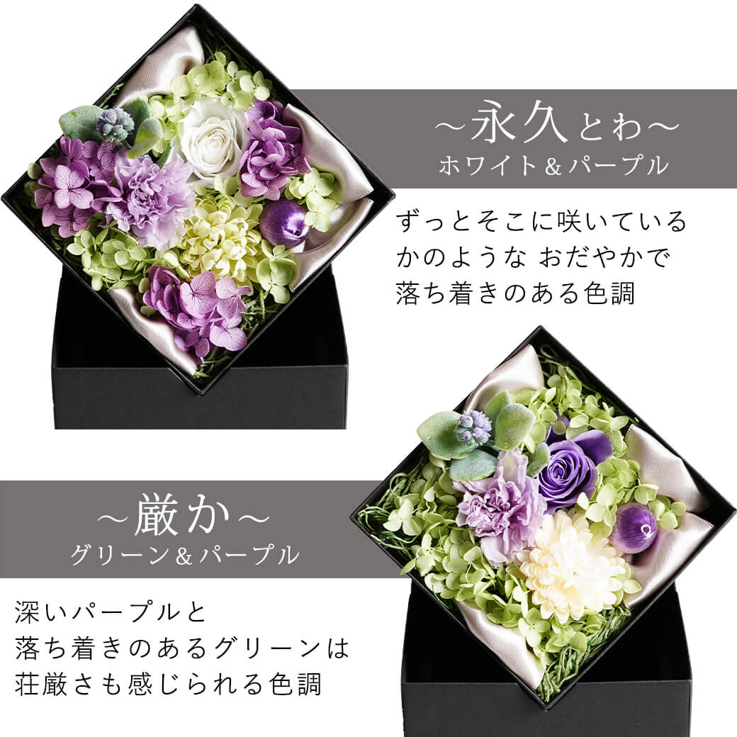 カラーバリエーション 永久 厳か