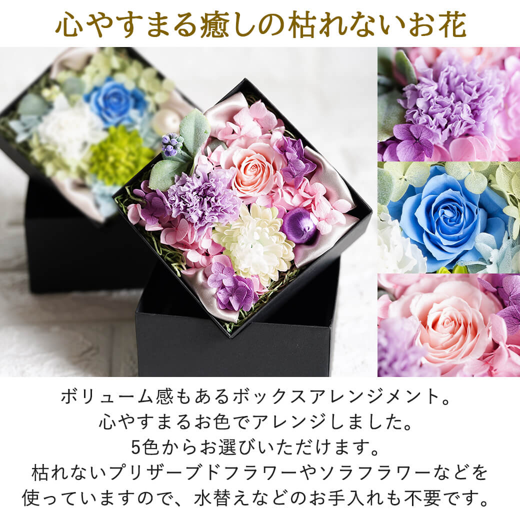 心やすまる癒しの枯れないお花