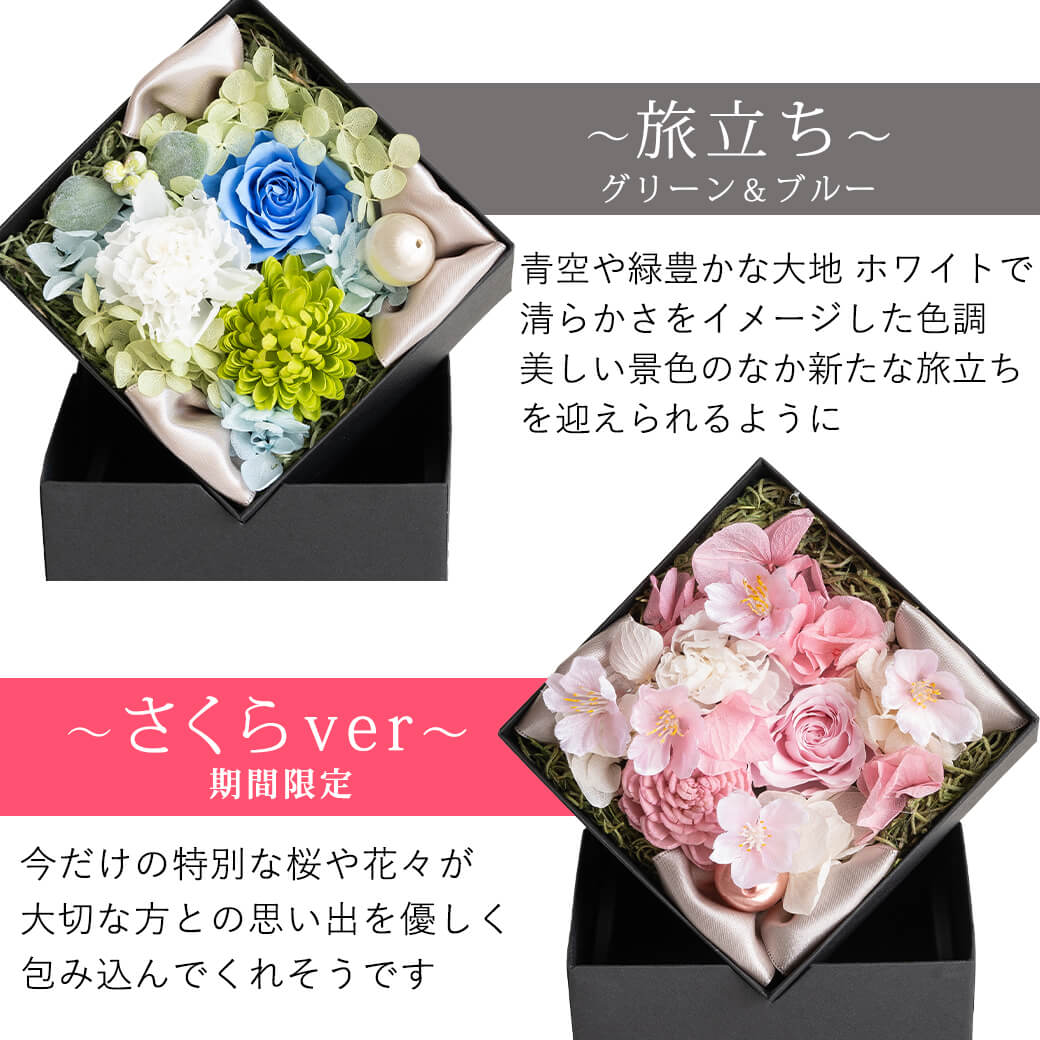 カラーバリエーション 旅立ち 期間限定 さくらver