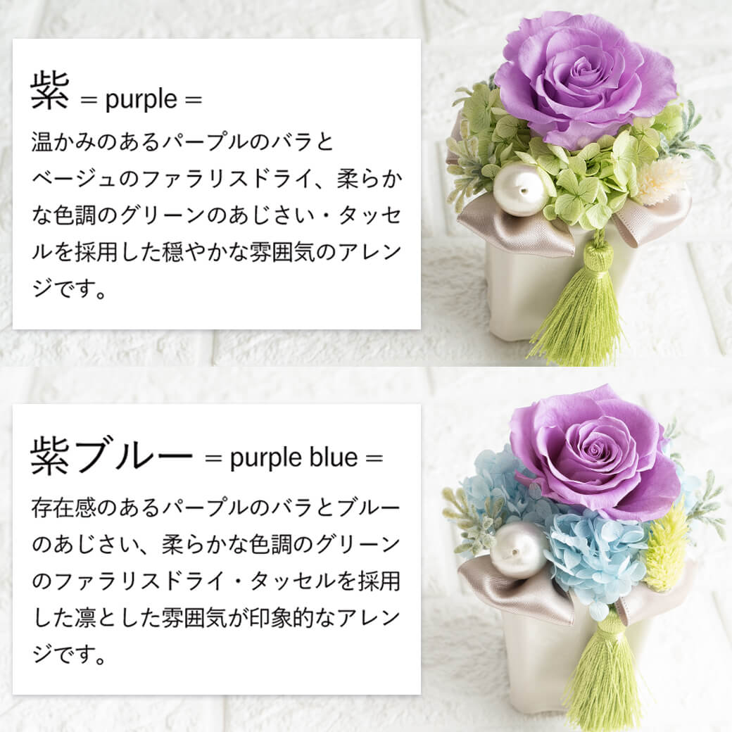 カラーバリエーション 紫 紫ブルー