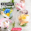 ペットのお供え花 虹花