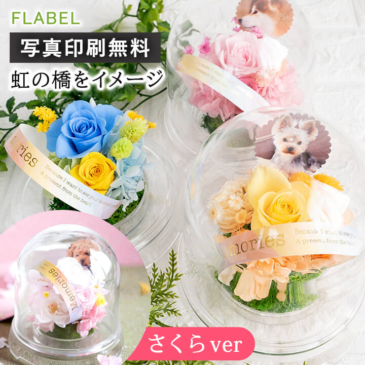 ペットのお供え花 虹花