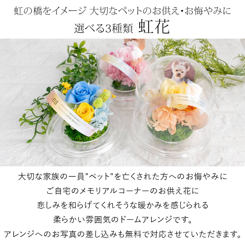 お手入れ簡単なドームアレンジ