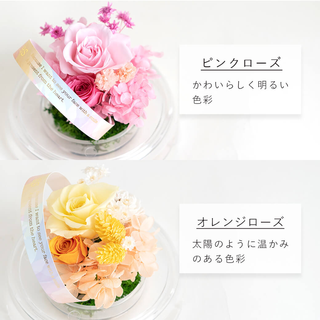 カラーバリエーション ピンクローズ オレンジローズ