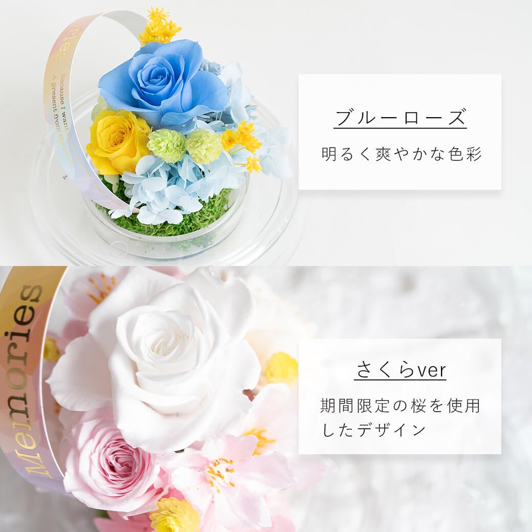 カラーバリエーション ブルーローズ 期間限定さくらver