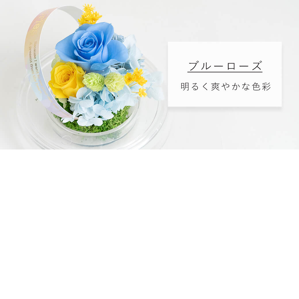カラーバリエーション ブルーローズ 