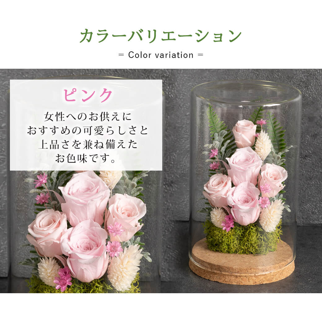 カラーバリエーション ピンク