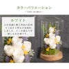 カラーバリエーション ホワイト