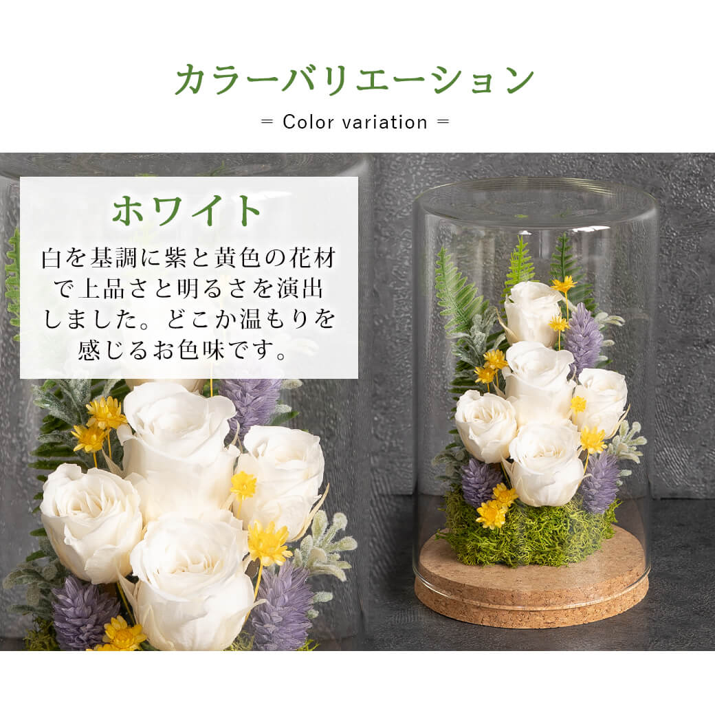 カラーバリエーション ホワイト