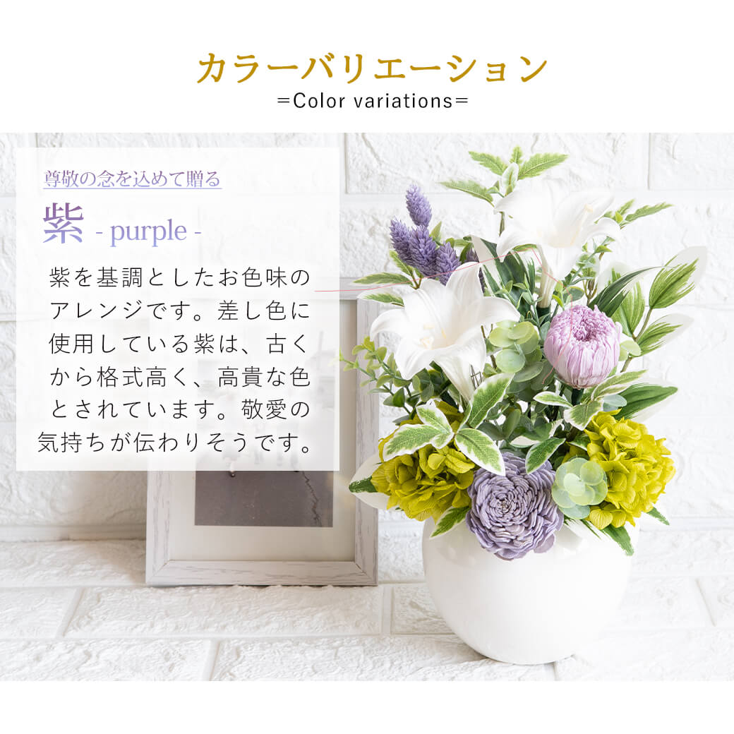 カラーバリエーション 紫