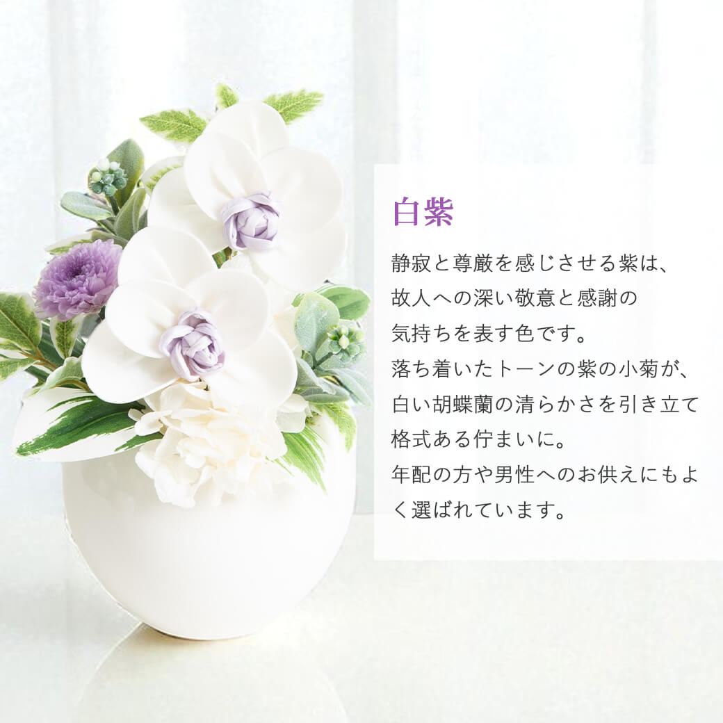 カラーバリエーション 白紫