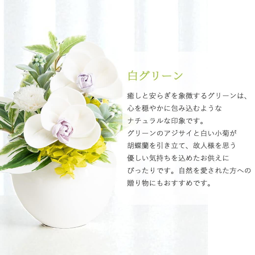 カラーバリエーション 白グリーン