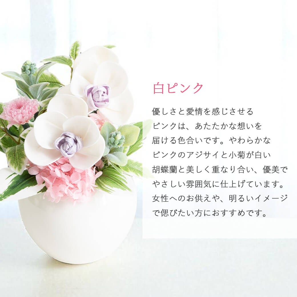 カラーバリエーション 白ピンク