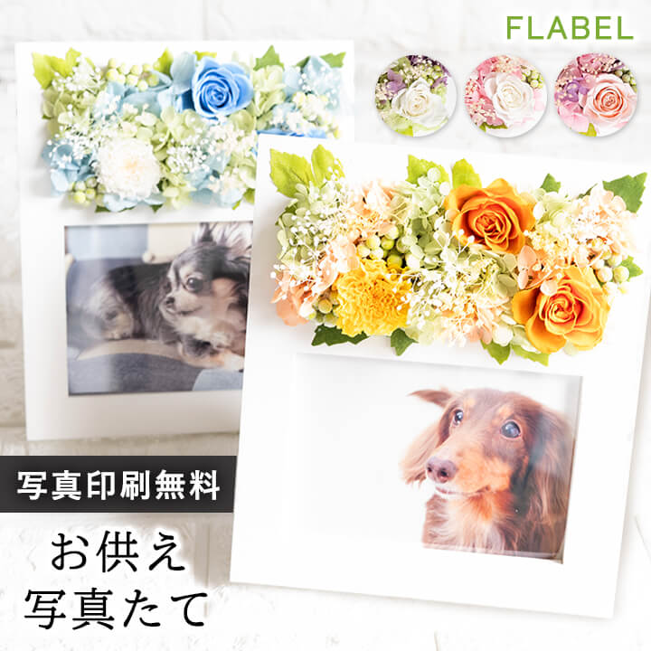 お供え写真立て さくらver登場