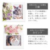 カラーバリエーション 白紫 白ピンク