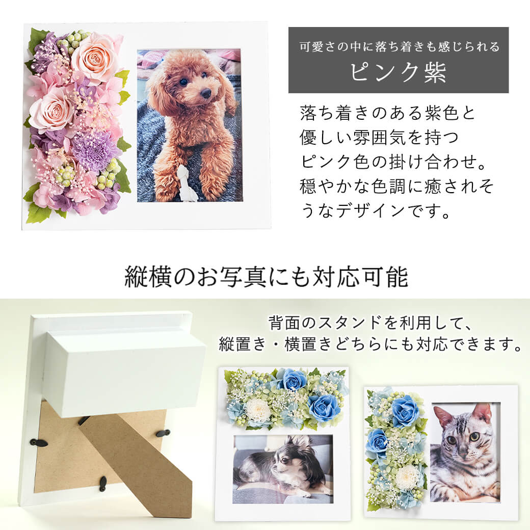 カラーバリエーション ピンク紫 縦横どちらでも飾れる