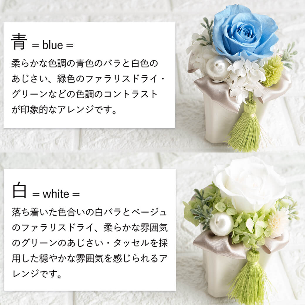 カラーバリエーション 青 白