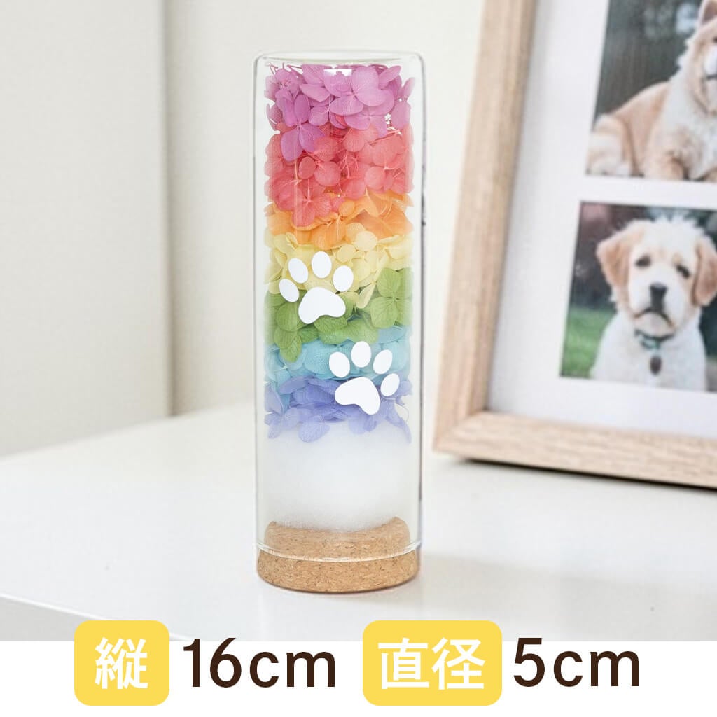 商品サイズ