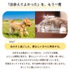 出会えてよかったをもう一度