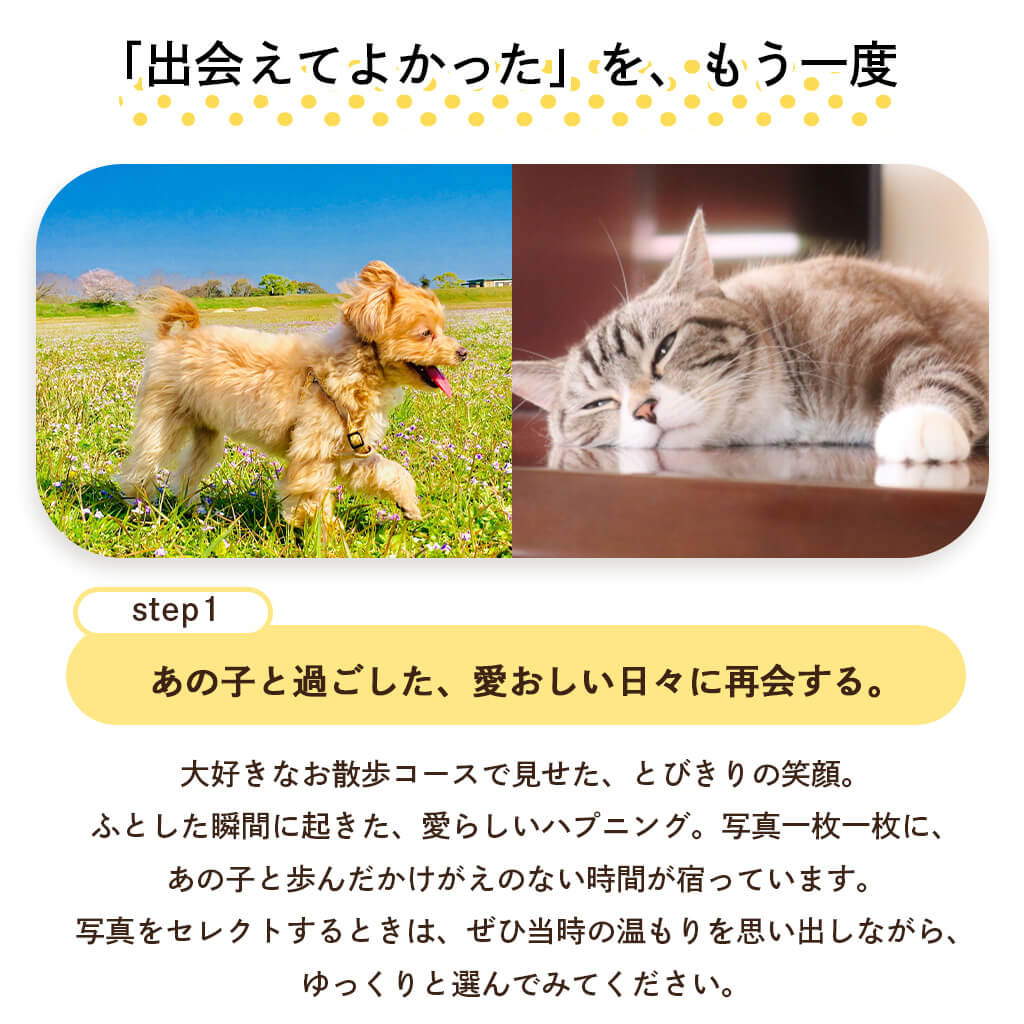 出会えてよかったをもう一度