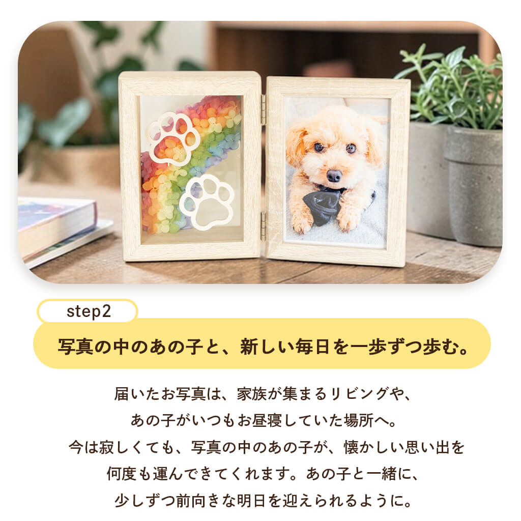 新しい毎日を一歩ずつ歩む