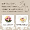虹の橋へと旅立つあの子へ