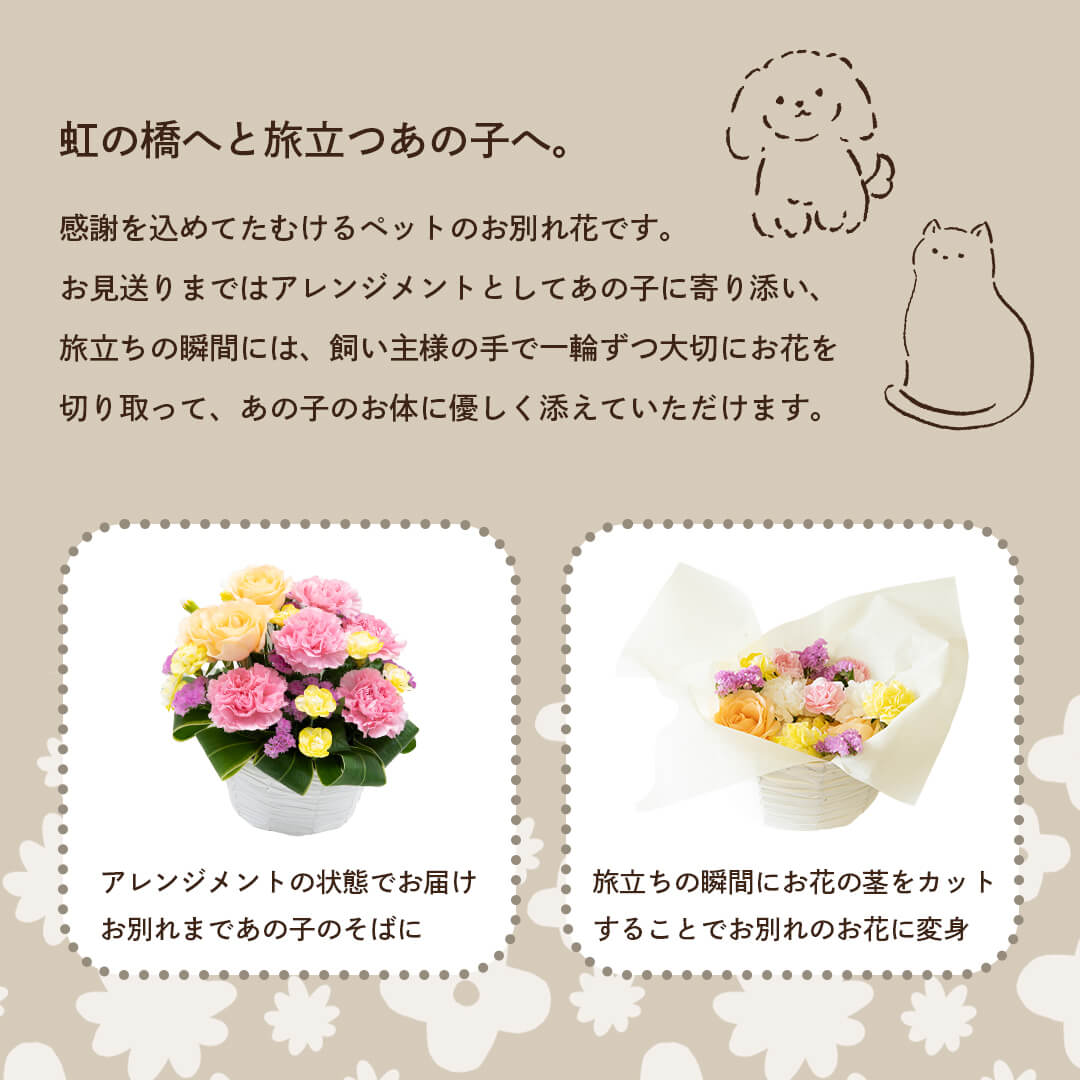 虹の橋へと旅立つあの子へ