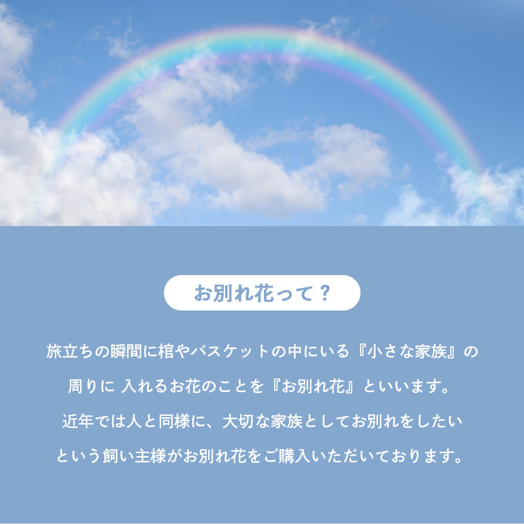 お別れ花とは