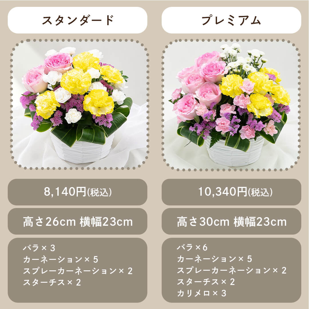 スタンダード プレミアムの比較