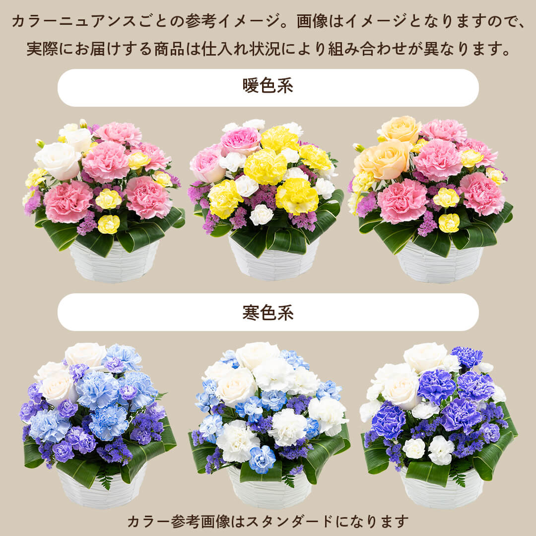 バリエーションイメージ